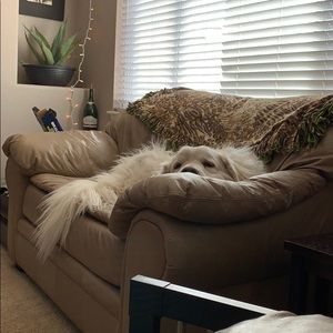 Meet your Posher, Shawna